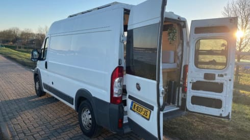 Billie Bus – 2p Fiat bus uit 2008