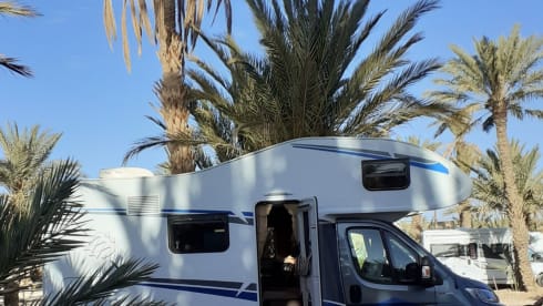 Top Camper met top aanbieding tot 40% korting. – 2of4 pers. Fiat Alcove from 2020 Automatic  