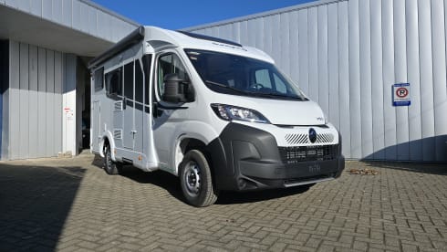 v60  – 3p Sunlight teilintegriert ab 2026