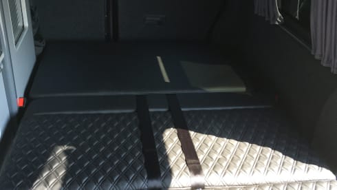 Darcey VW T5 North Devon 