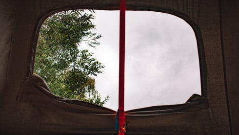 Aliforni – Zuverlässiger Volkswagen T3