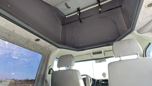 Blastoise – Volkswagen T5 camper van