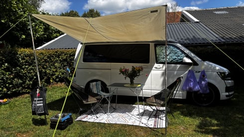 Lernen Sie Adam kennen – Moderner und voll ausgestatteter 4-Sitzer VW T6 | Euro 6 (Fahrt überall hin)