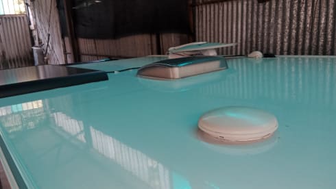 Gian – Giottiline Siena 350