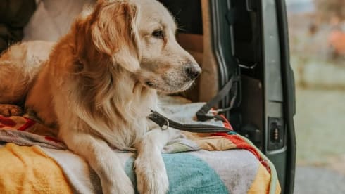 Salty Silence on wheels 🚐🏞️🌄 (max 6 pers.) 👨‍👩‍👧‍👦