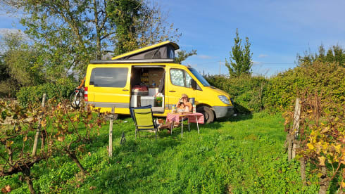 Tall people bus, our Yello Submarine