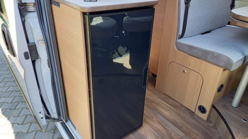 Brizzi – 2p Carado bus from 2024