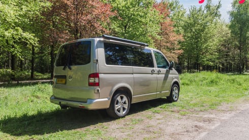 Alice The Van – Künstlerischer Dschungelcamper