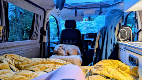 Iris – Iris - Volkswagen campervan