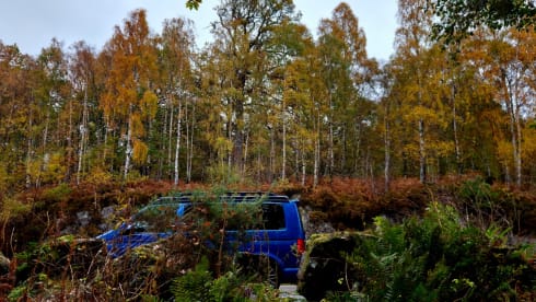 Iris – 4-persoons Volkswagen campervan uit 2020