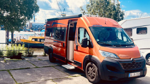 Bully – Van life goes with my "Bully"