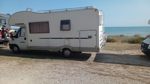 PERFETTO COMPAGNO DI VIAGGIO