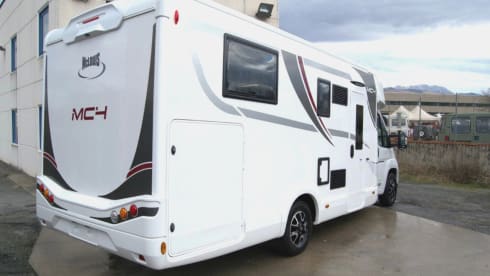 MC4 873 – McLouis Yearling 83