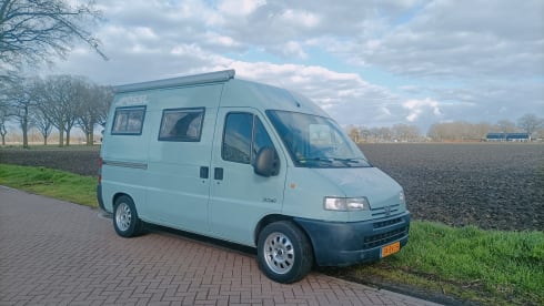 Truus – 2p Pössl bus uit 2001