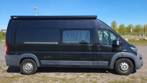 Camper Fiat a 5 posti del 2015