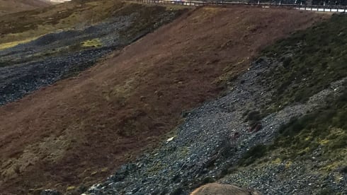 Bamboo Buck – Hashtagcampeurs 