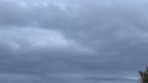 Perfecte reisgenoot voor het gezin 