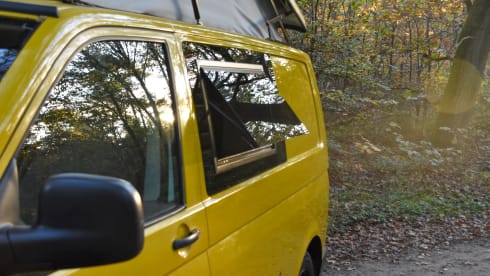 Bert – 4p Volkswagen campervan 
