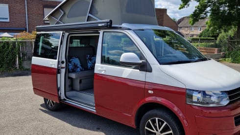 4p Volkswagen California from 2013