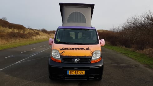 Holland – Holland