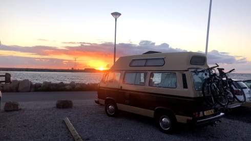 Charlie – VW T3 Adventurewagon Automatic - California Imported