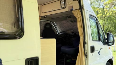 Safari  – 2p Fiat bus uit 2004