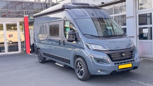 Buzzie – Brand new 4 person bus camper Carado 