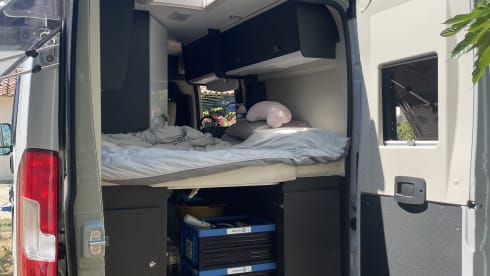 Camping-car 2 personnes (2024) McLouis Menfys Discovery Van 1