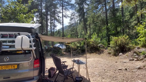 Volkswagen California T5 automatic 4P