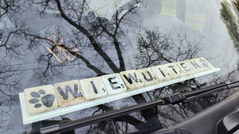 Wiewuiten – 2p Roller Team bus from 2017 (4 seats)