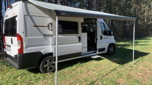 4p Benimar bus from 2024