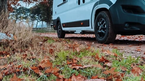 Hectorhetbusje – 2p Chausson Bus camper from 2021