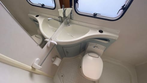 Bluebell – Fun, Versatile and Reliable