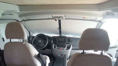 Roller team granduca