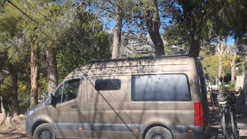 Lizz – 2p Mercedes-Benz bus from 2023