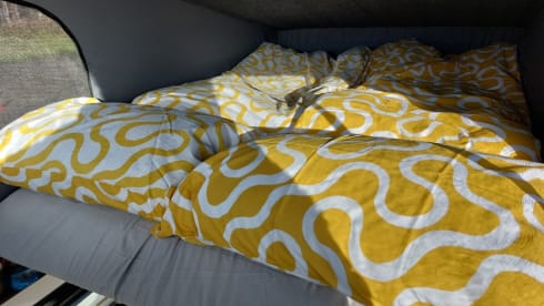 4 berth Trafic campervan - perfect for family adventures