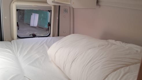 3p Fiat bus from 2020