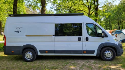 Pura Vida Van – 3-person bus camper built in 2023