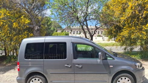 Gray-mouse – Il tuo mezzo per raggiungere la libertà