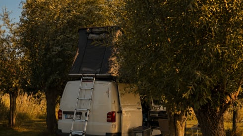 The white nomad – 3p Volkswagen rooftop