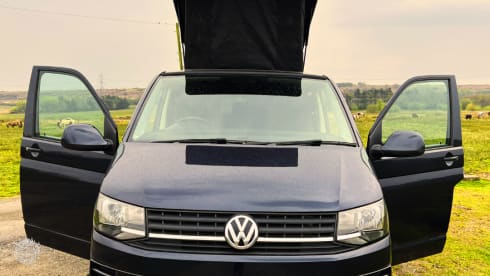 Halle – 4 berth Volkswagen campervan 