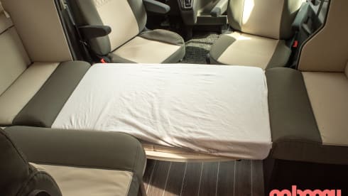 5p Ford semi-integrated 2022