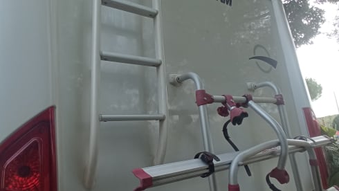 Roller team granduca