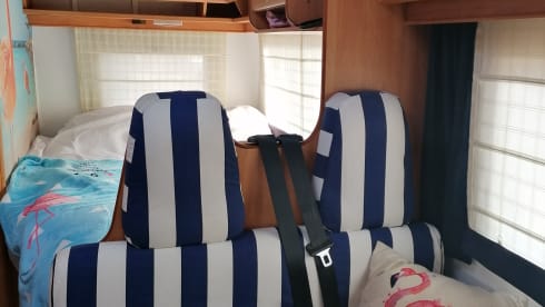 Budster – Trendy Fiat camper