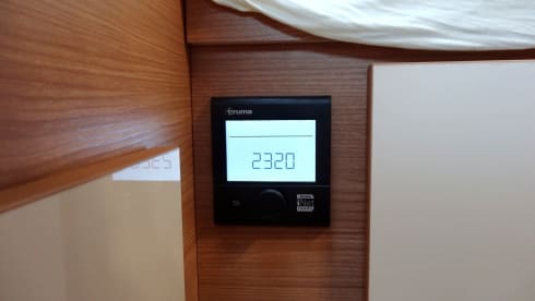 Willie – The Normal One