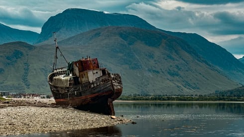 Bamboo Buck – Hashtagcampeurs 