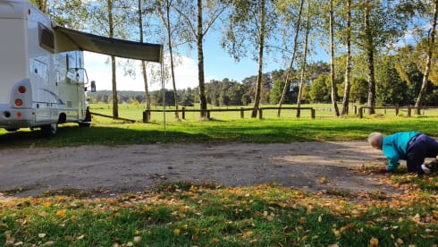 Sprinter – Mercedes Sprinter 160 hp Bürstner