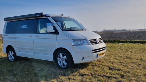 "De Witte" – 4p Volkswagen bus from 2004