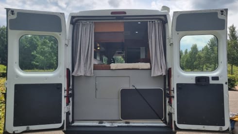 3p Fiat bus from 2012