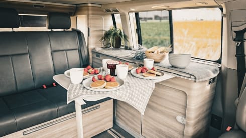 Django – 4p Volkswagen campervan uit 2018